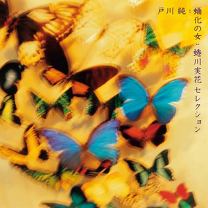 国产这里有精品视频
